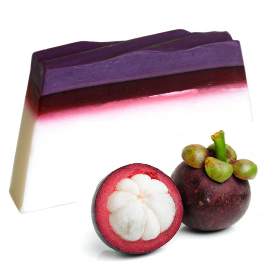 PARADIS TROPICAL MANGOUSTAN - Savon 100g